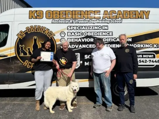 K9 Obedience Academy graduation, dog training Rochester NY